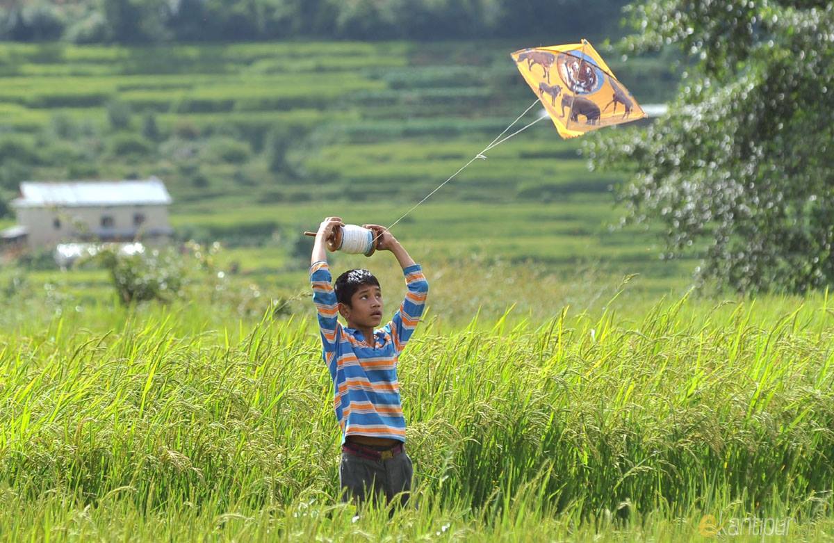 Flying Kites During Dashain